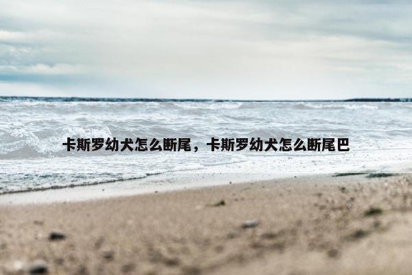 卡斯罗幼犬怎么断尾，卡斯罗幼犬怎么断尾巴