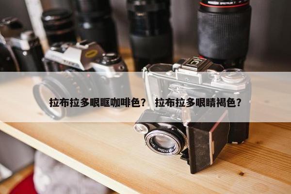 拉布拉多眼眶咖啡色? 拉布拉多眼睛褐色?