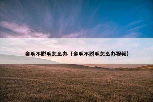 金毛不脱毛怎么办（金毛不脱毛怎么办视频）