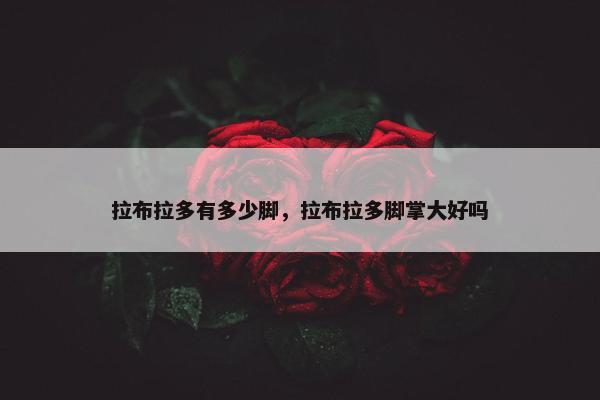 拉布拉多有多少脚，拉布拉多脚掌大好吗