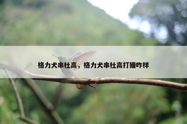 格力犬串杜高,格力犬串杜高打猎咋样