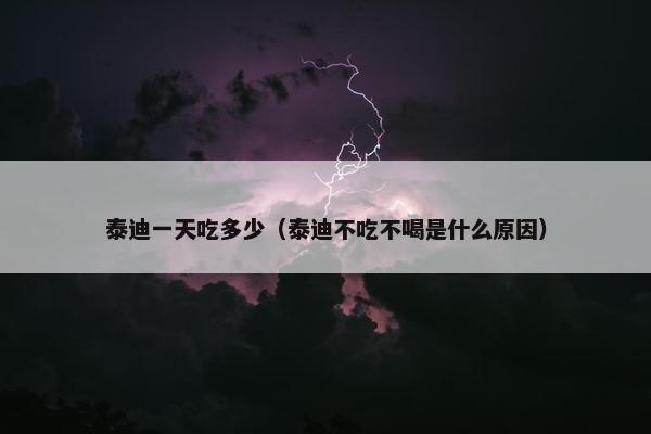 泰迪一天吃多少（泰迪不吃不喝是什么原因）