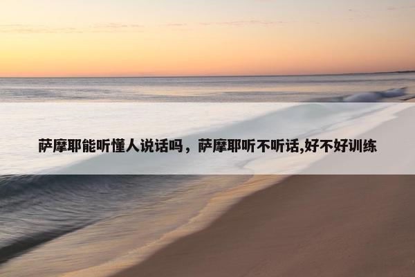 萨摩耶能听懂人说话吗，萨摩耶听不听话,好不好训练