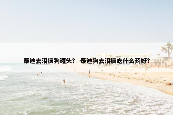 泰迪去泪痕狗罐头？ 泰迪狗去泪痕吃什么药好？