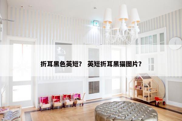 折耳黑色英短? 英短折耳黑猫图片?
