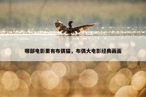 哪部电影里有布偶猫，布偶大电影经典画面