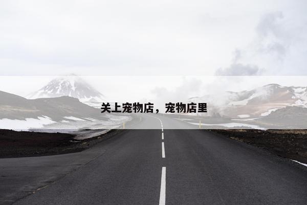 关上宠物店,宠物店里