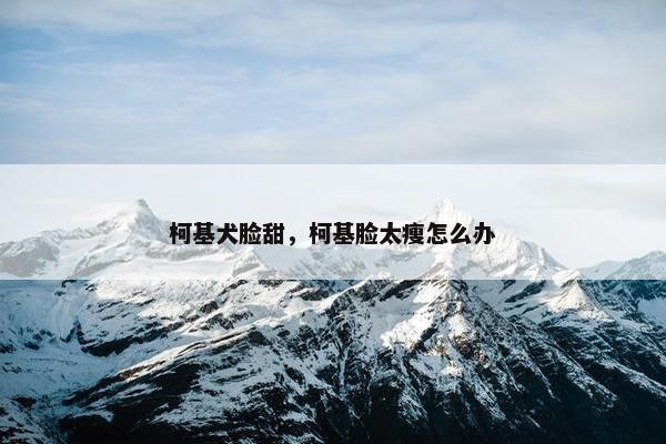 柯基犬脸甜，柯基脸太瘦怎么办