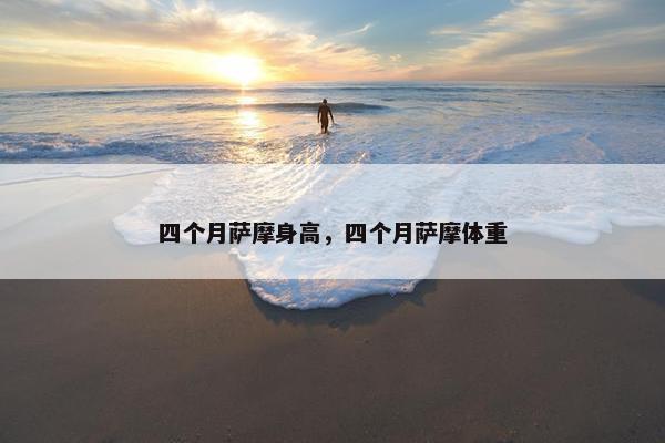 四个月萨摩身高，四个月萨摩体重