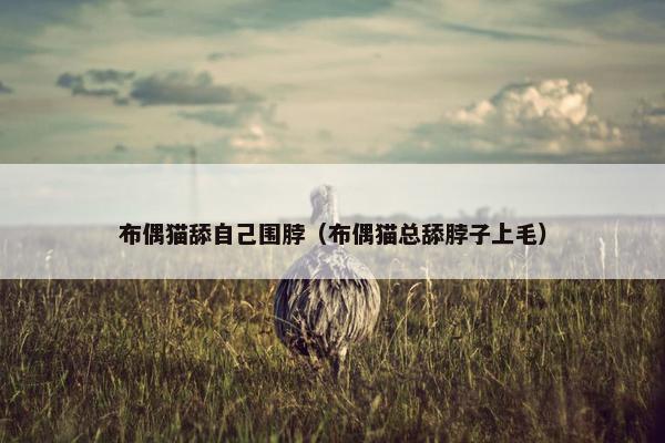 布偶猫舔自己围脖（布偶猫总舔脖子上毛）