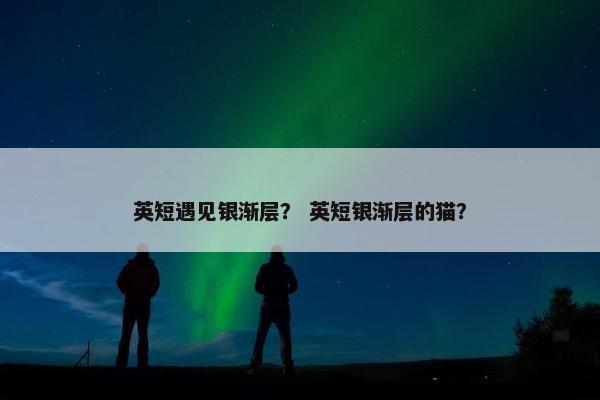 英短遇见银渐层？ 英短银渐层的猫？