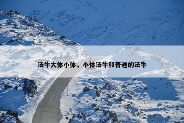 法牛大体小体，小体法牛和普通的法牛