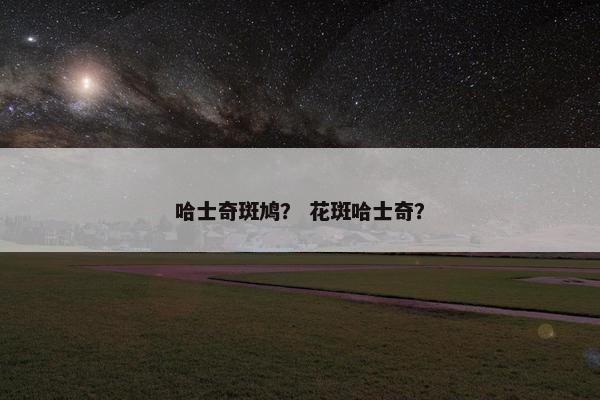 哈士奇斑鸠？ 花斑哈士奇？