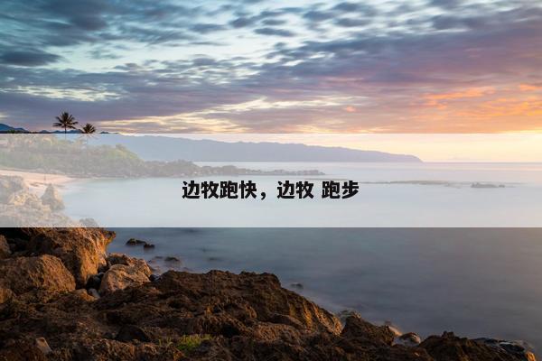 边牧跑快，边牧 跑步