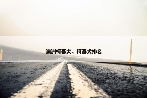 澳洲柯基犬,柯基犬排名