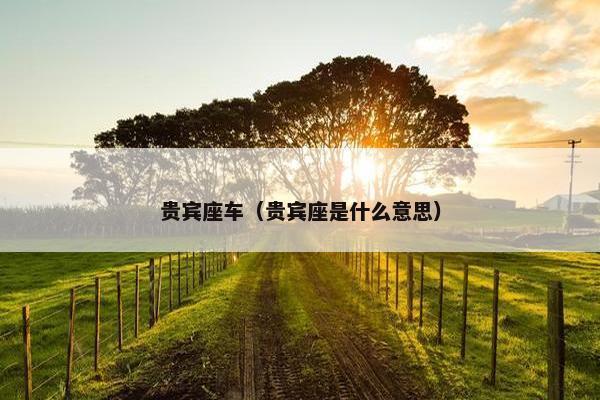 座车