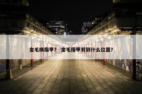 金毛换指甲？ 金毛指甲剪到什么位置？