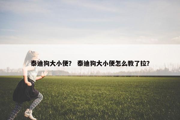 泰迪狗大小便？ 泰迪狗大小便怎么教了拉？