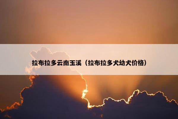 拉布拉多云南玉溪（拉布拉多犬幼犬价格）