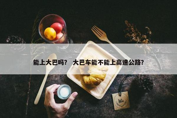 能上大巴吗? 大巴车能不能上高速公路?