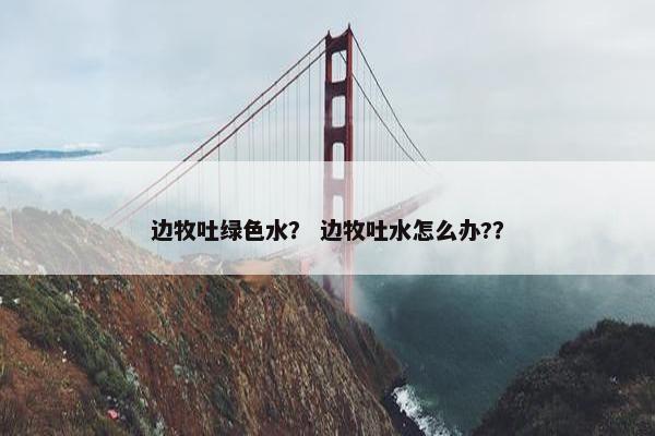 边牧吐绿色水? 边牧吐水怎么办??