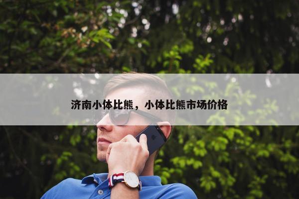 济南小体比熊，小体比熊市场价格