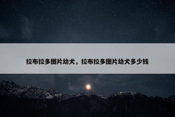 拉布拉多图片幼犬，拉布拉多图片幼犬多少钱