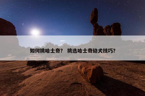 如何挑哈士奇？ 挑选哈士奇幼犬技巧？