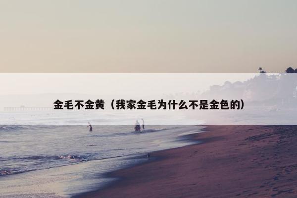 金毛不金黄（我家金毛为什么不是金色的）
