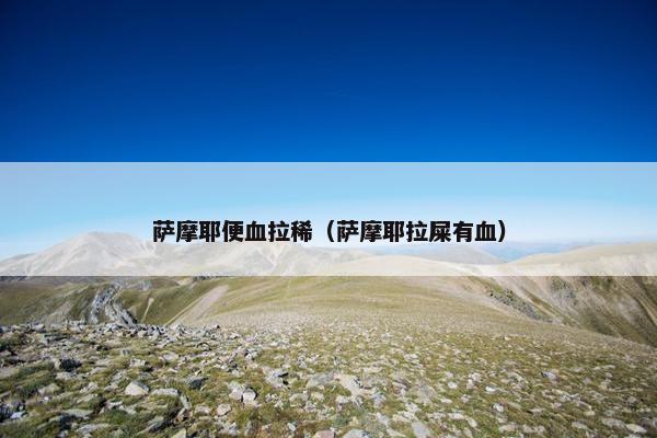 萨摩耶便血拉稀（萨摩耶拉屎有血）