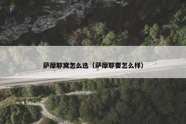 萨摩耶窝怎么选（萨摩耶要怎么样）