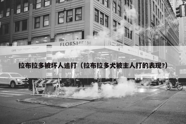 拉布拉多被坏人追打（拉布拉多犬被主人打的表现?）