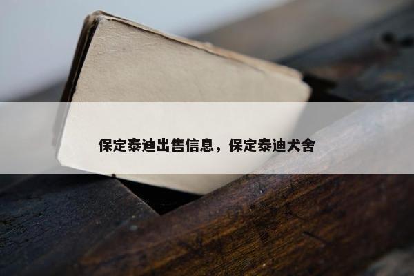 保定泰迪出售信息，保定泰迪犬舍