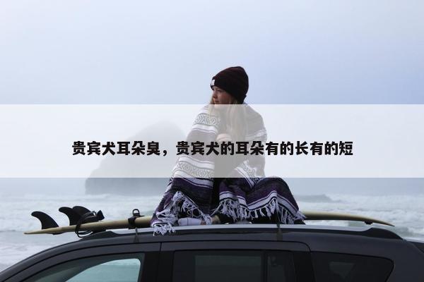 耳道 第7页