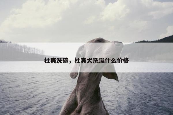 杜宾洗碗，杜宾犬洗澡什么价格