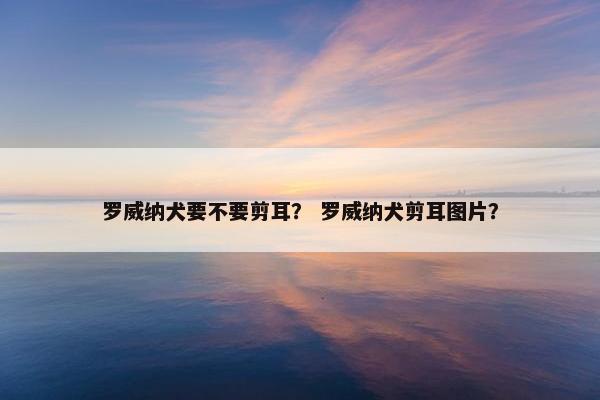 罗威纳犬要不要剪耳？ 罗威纳犬剪耳图片？