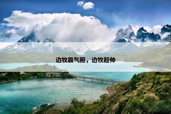 边牧霸气照，边牧超帅