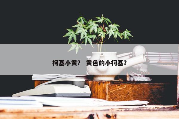 柯基小黄？ 黄色的小柯基？
