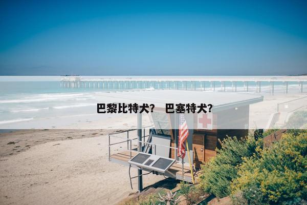 巴黎比特犬? 巴塞特犬?