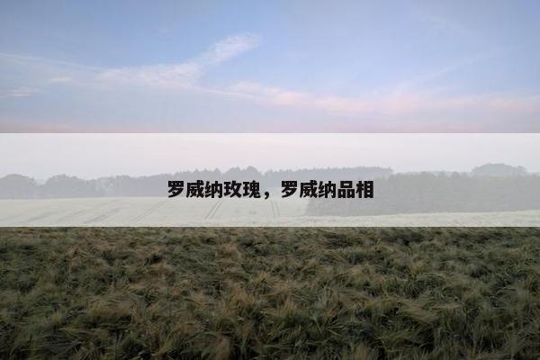 罗威纳玫瑰，罗威纳品相