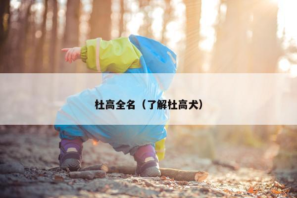 杜高全名（了解杜高犬）