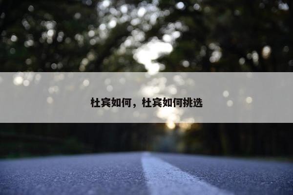 杜宾如何，杜宾如何挑选