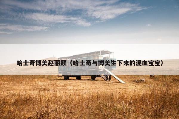 哈士奇博美赵丽颖（哈士奇与博美生下来的混血宝宝）