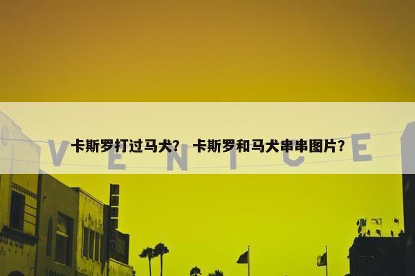 卡斯罗打过马犬？ 卡斯罗和马犬串串图片？