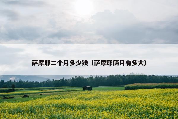 萨摩耶二个月多少钱（萨摩耶俩月有多大）