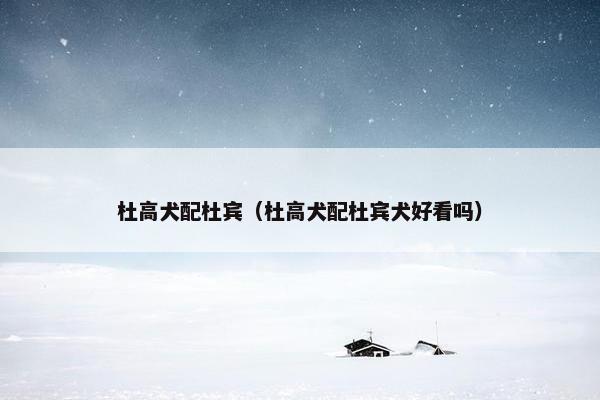 杜高犬配杜宾（杜高犬配杜宾犬好看吗）