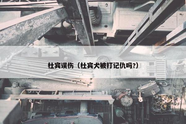 杜宾误伤（杜宾犬被打记仇吗?）