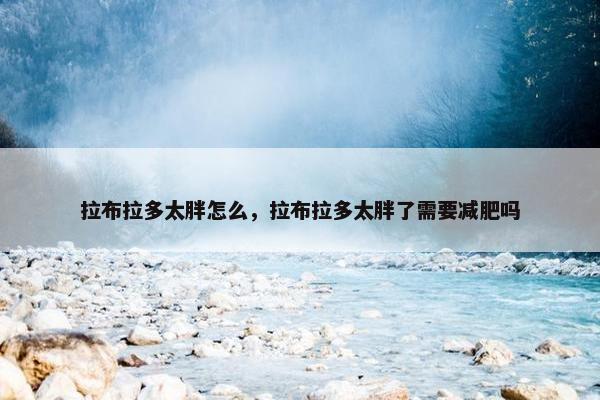 拉布拉多太胖怎么，拉布拉多太胖了需要减肥吗