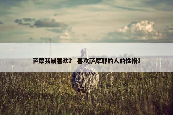 萨摩我最喜欢? 喜欢萨摩耶的人的性格?