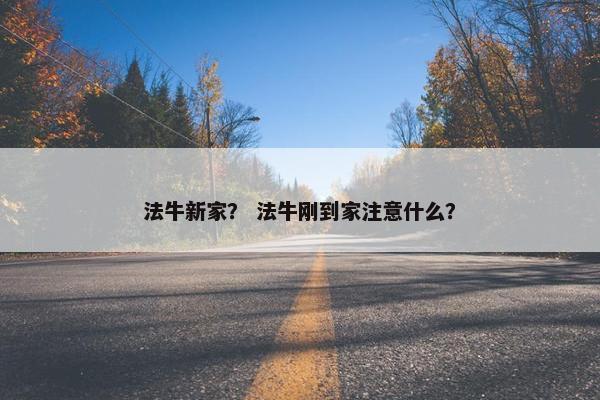 法牛新家? 法牛刚到家注意什么?